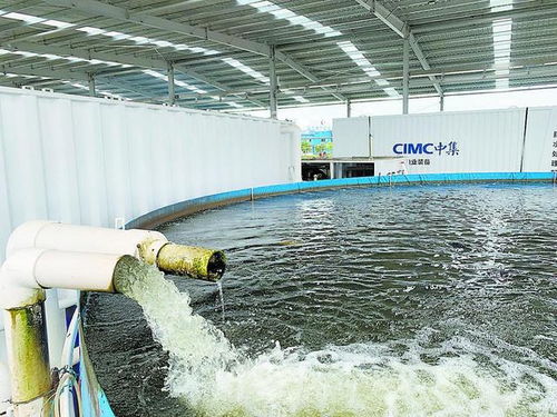從土塘到工廠 江門水產養殖與家畜飼養的標準化之路